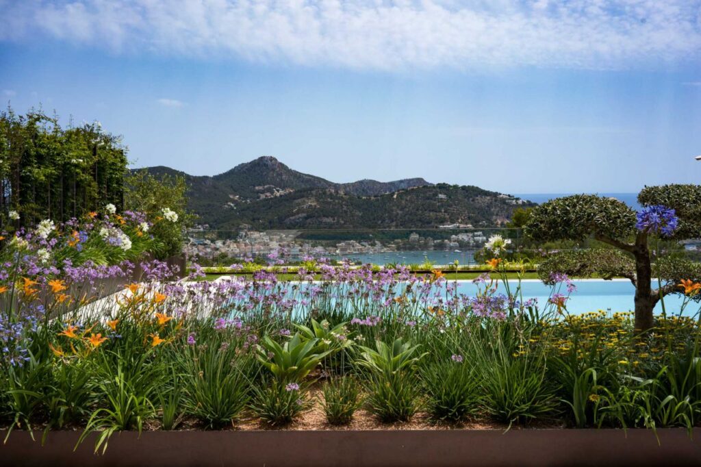 Imagen de galería 554