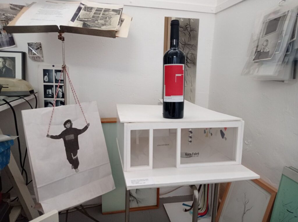 Imagen de galería 979