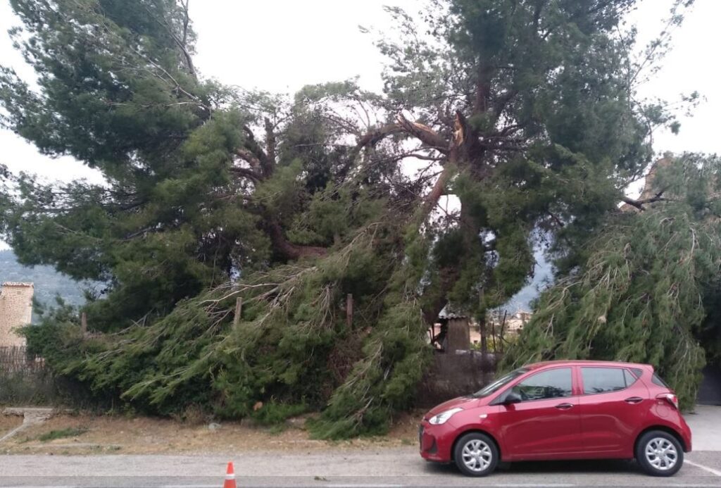 Imagen de galería 506