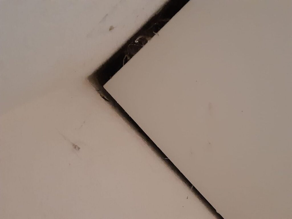 Imagen de galería 776