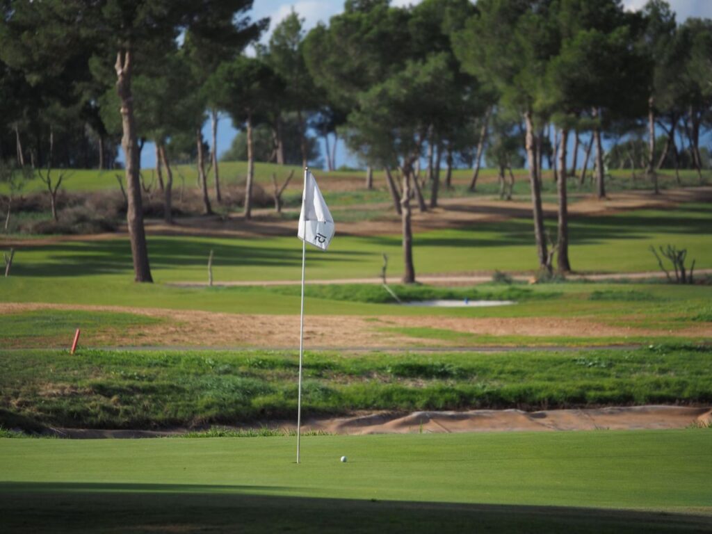 Imagen de galer&iacute;a 1216