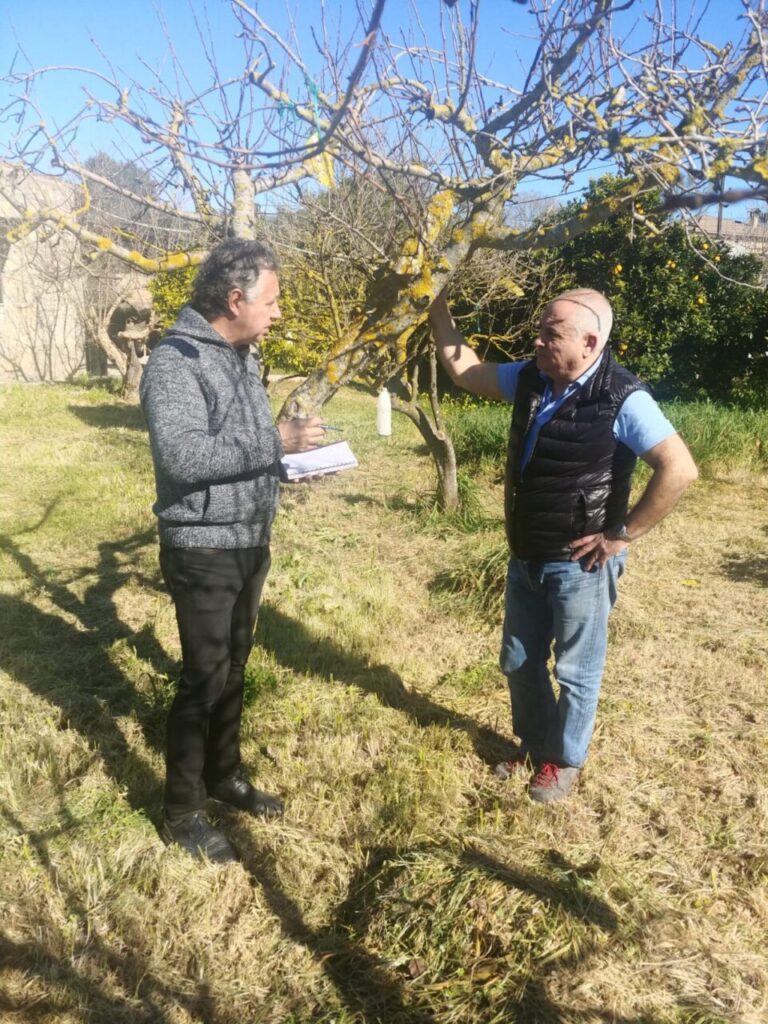 Imagen de galería 966