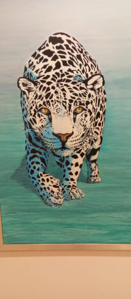 Imagen de galería 1588