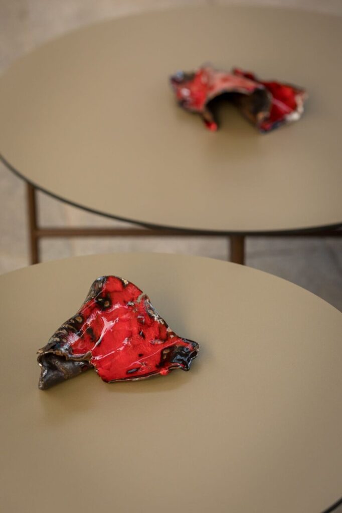 Imagen de galería 996