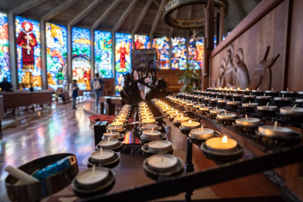 Imagen de galer&iacute;a 1712