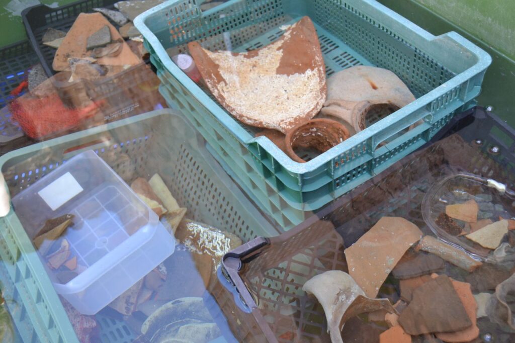 Imagen de galería 135