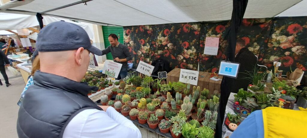 Imagen de galería 1761