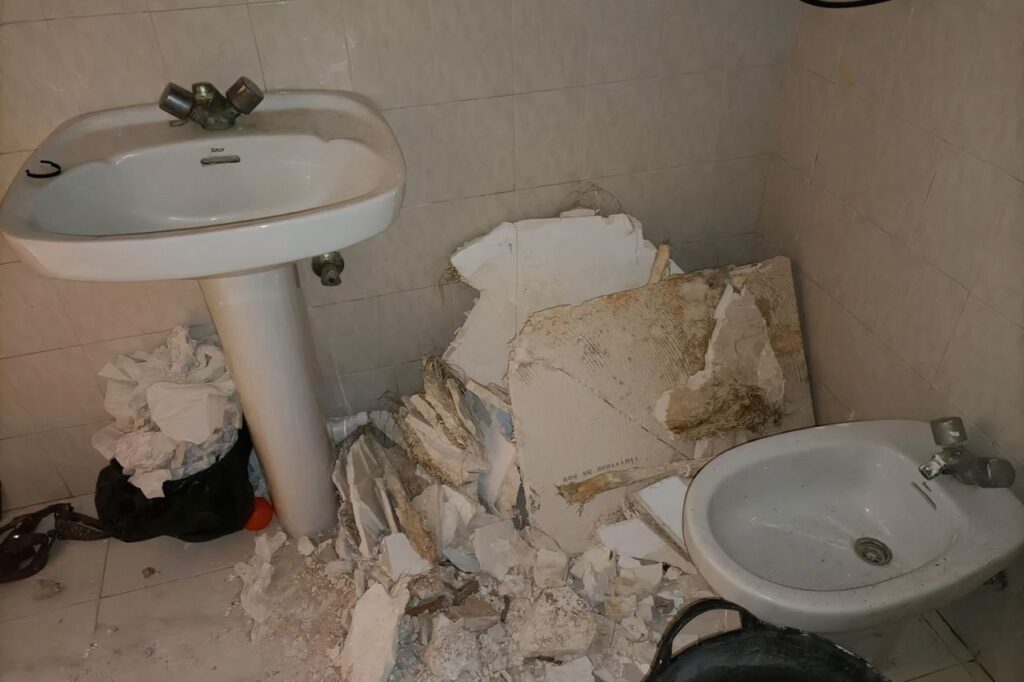 Imagen de galer&iacute;a 1353