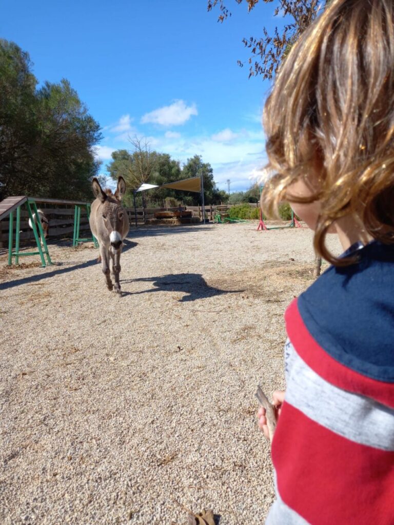 Imagen de galería 1389