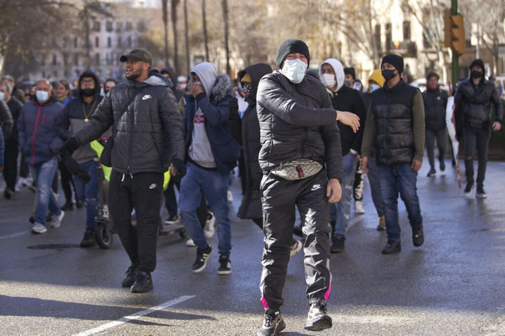 Imagen de galer&iacute;a 808