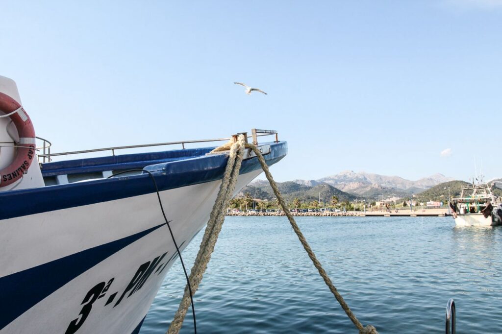 Imagen de galería 1415