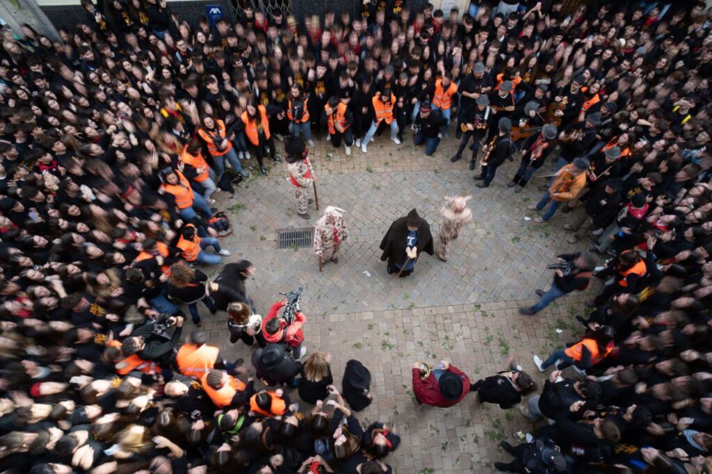 Imagen de galería 1623