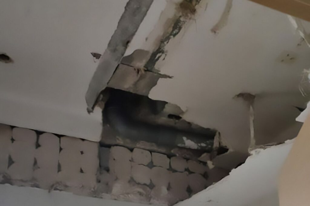 Imagen de galer&iacute;a 1353