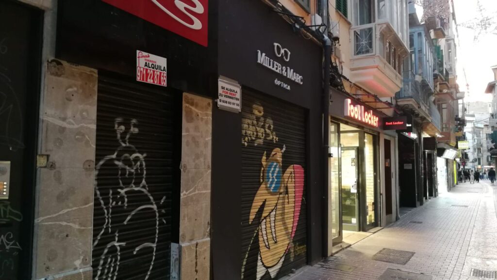 Imagen de galería 775