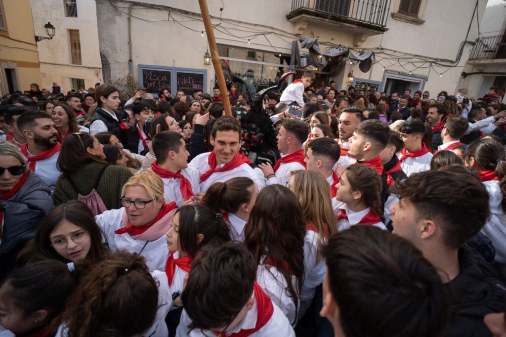 Imagen de galer&iacute;a 1249