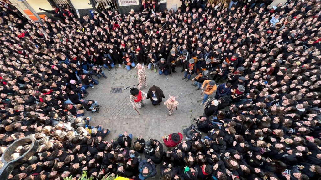 Imagen de galer&iacute;a 1250