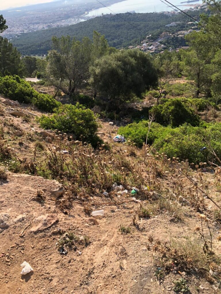 Imagen de galería 1318