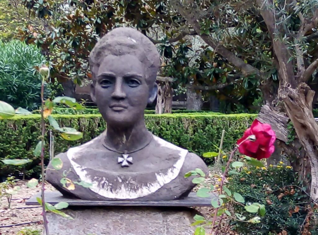 Imagen de galer&iacute;a 1254