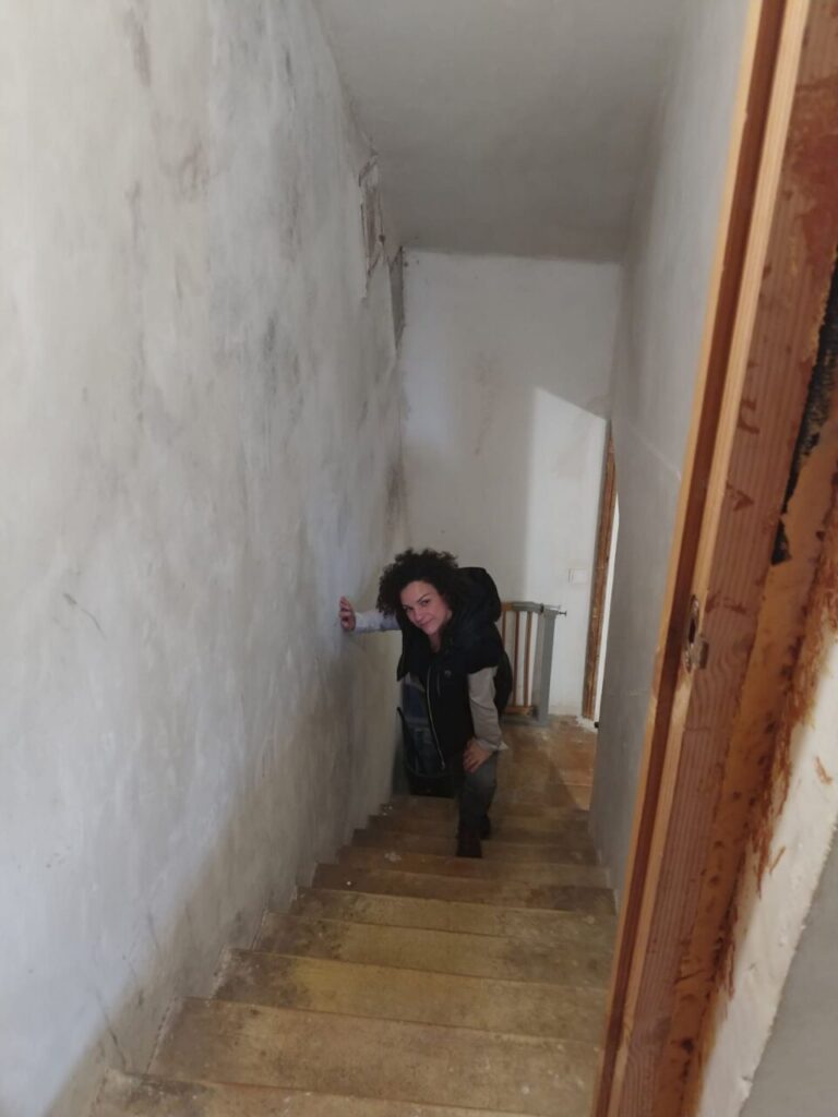 Imagen de galería 987