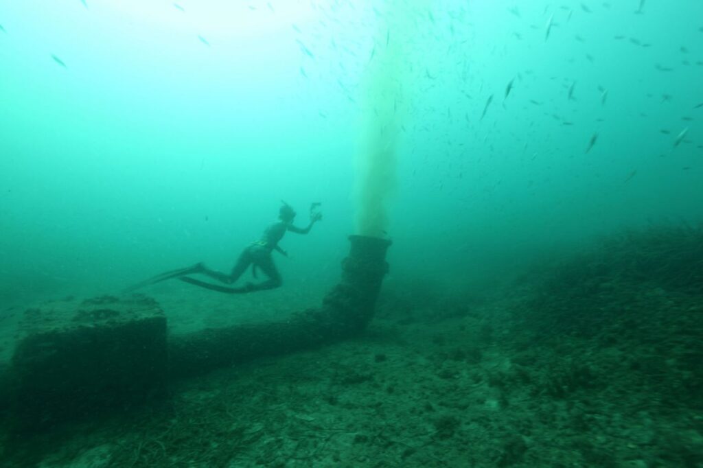 Imagen de galería 194