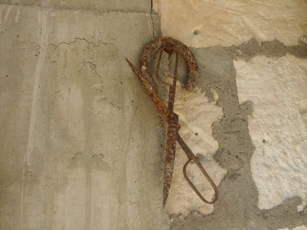 Imagen de galería 966