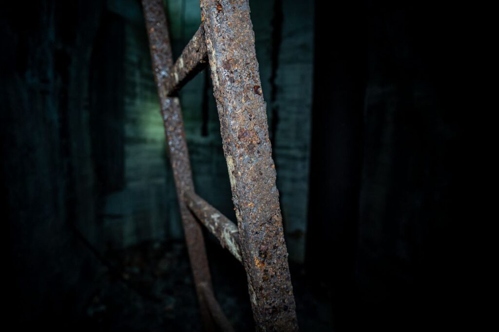 Imagen de galería 940