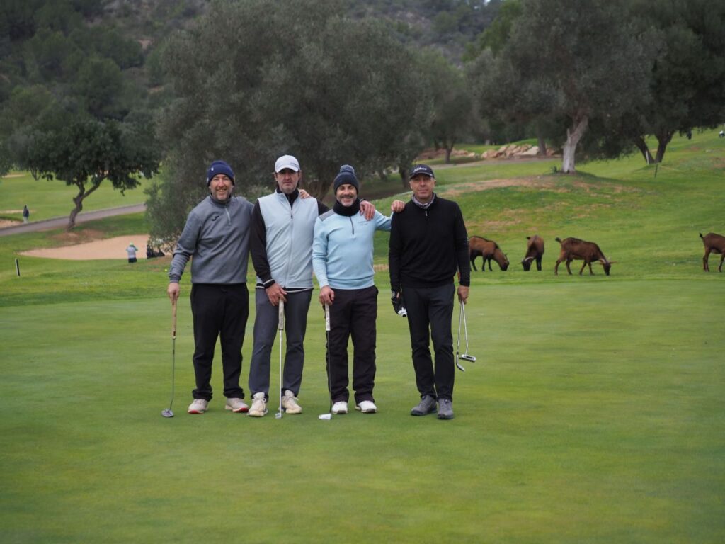 Imagen de galería 1265