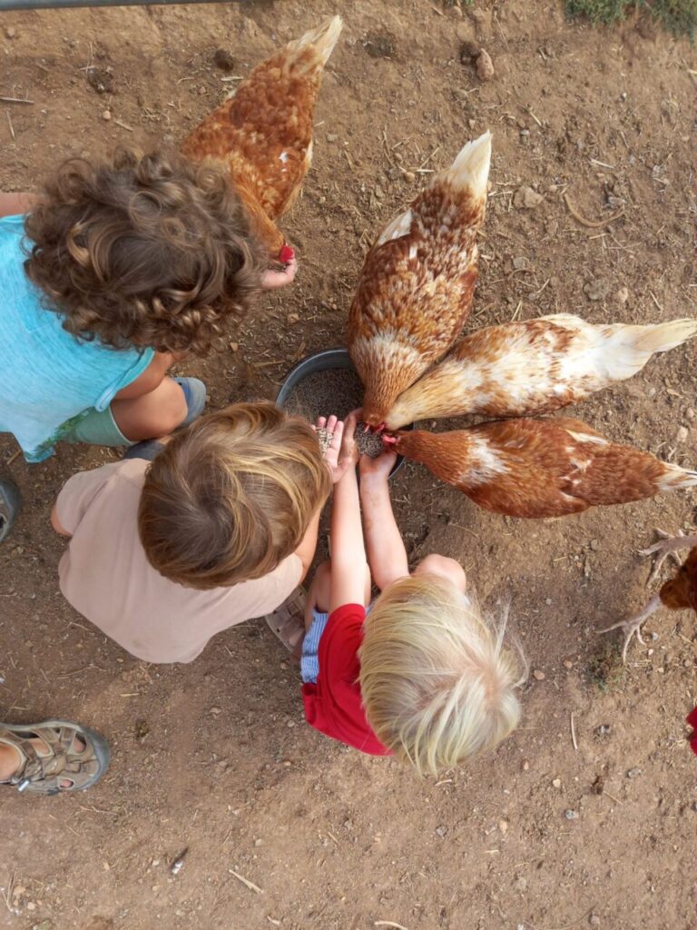 Imagen de galería 1389