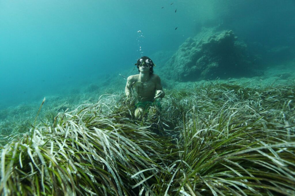 Imagen de galería 194