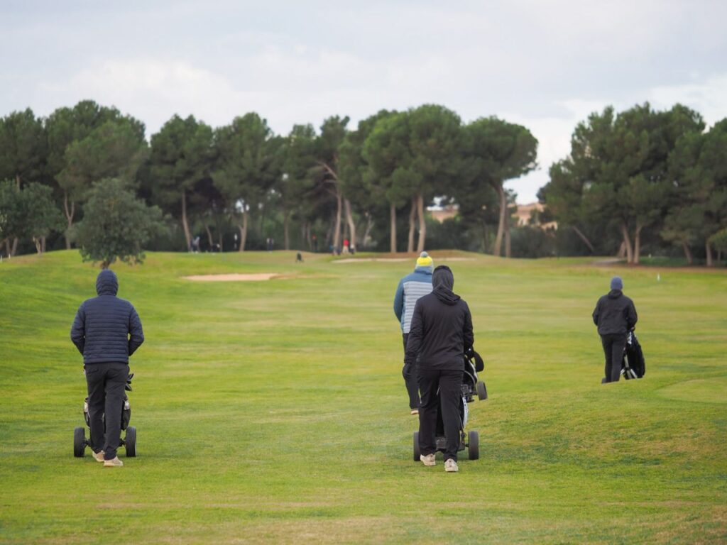 Imagen de galería 1263