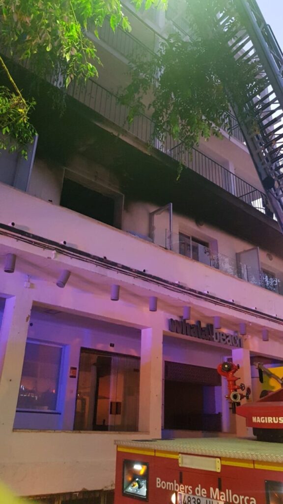 Imagen de galería 565