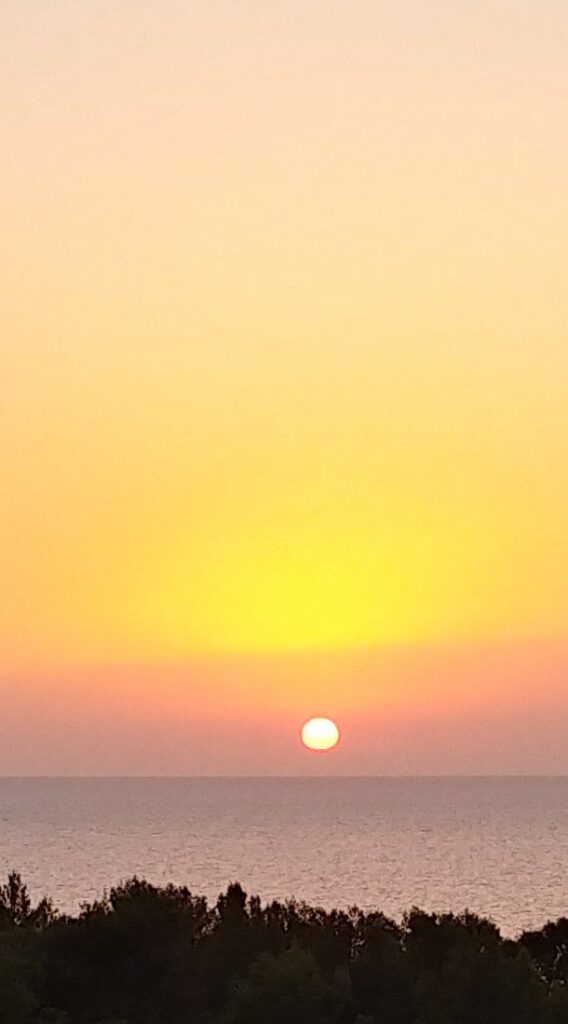 Imagen de galería 896