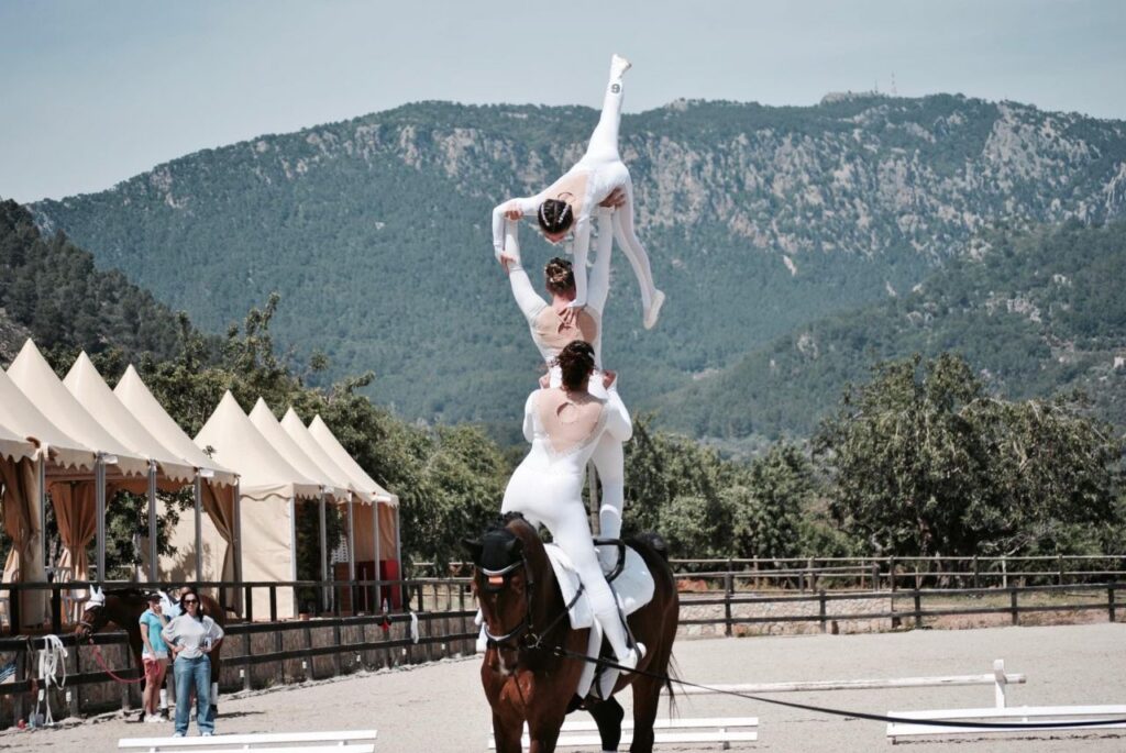 Imagen de galería 1067