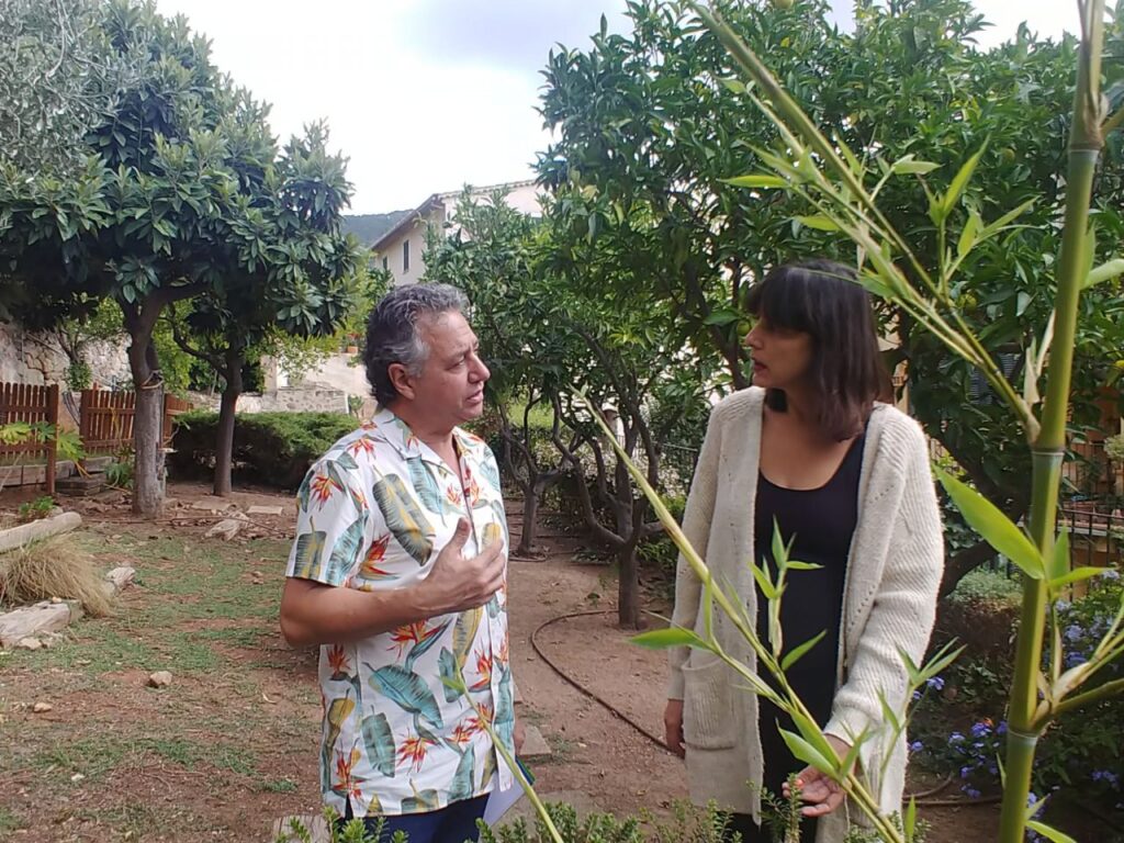 Imagen de galería 924