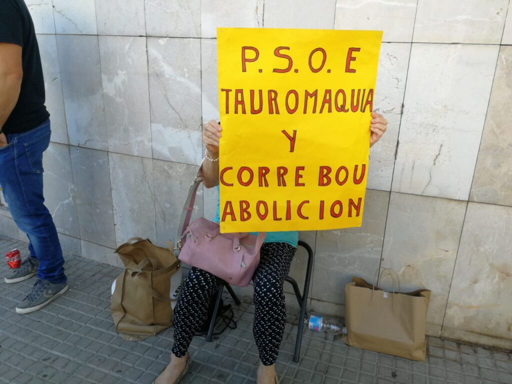 Imagen de galería 628