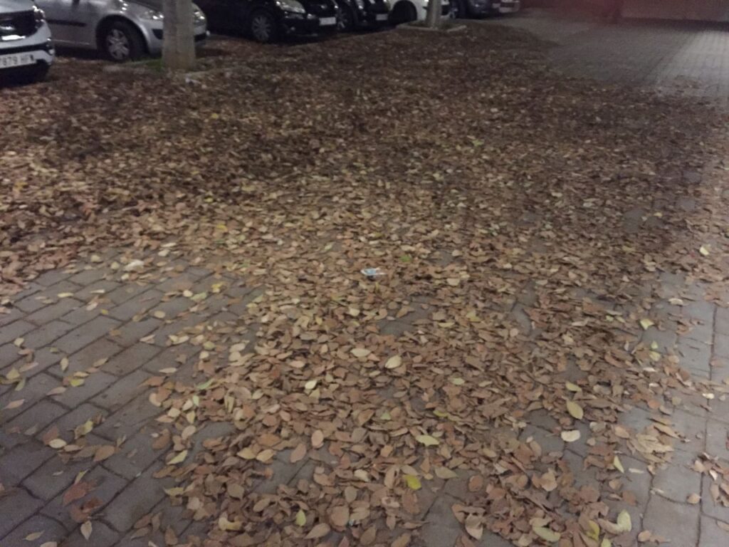 Imagen de galería 98