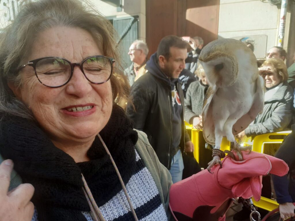 Imagen de galería 1253