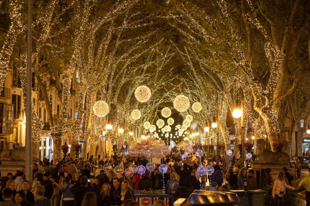 Imagen de galería 1191