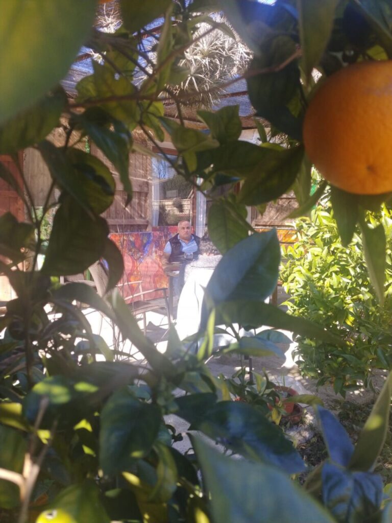 Imagen de galería 966