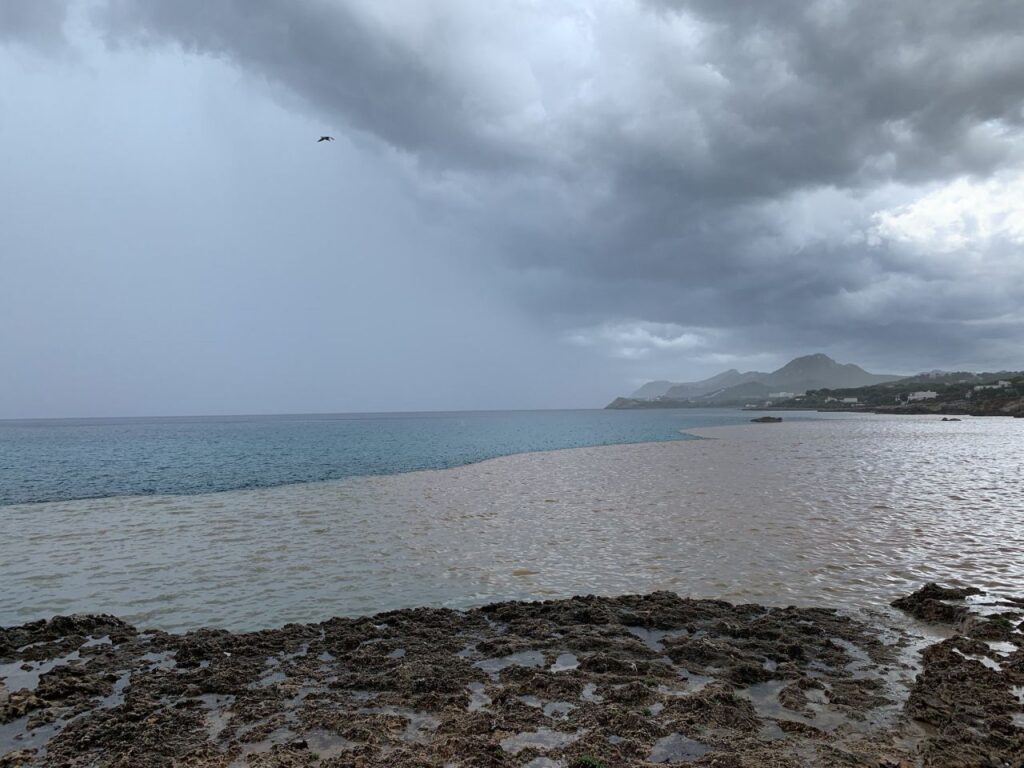 Imagen de galer&iacute;a 768