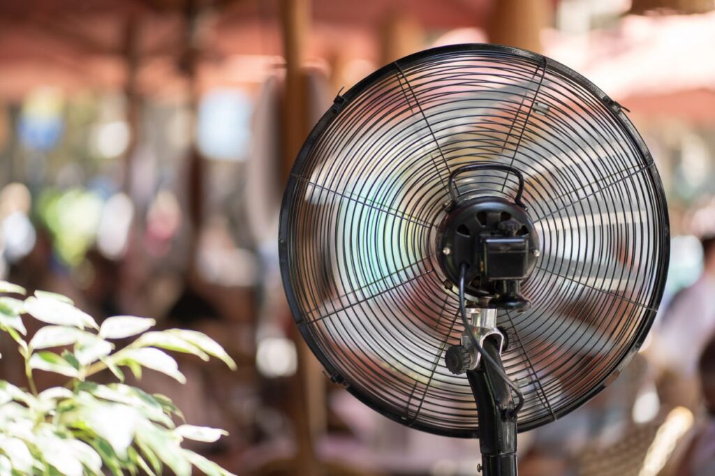 Imagen de galería 1460