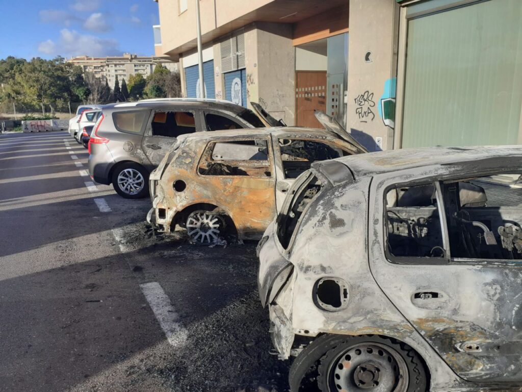 Imagen de galería 1188