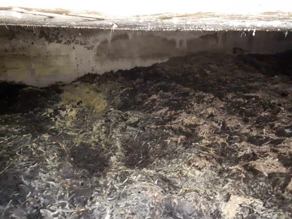 Imagen de galería 480