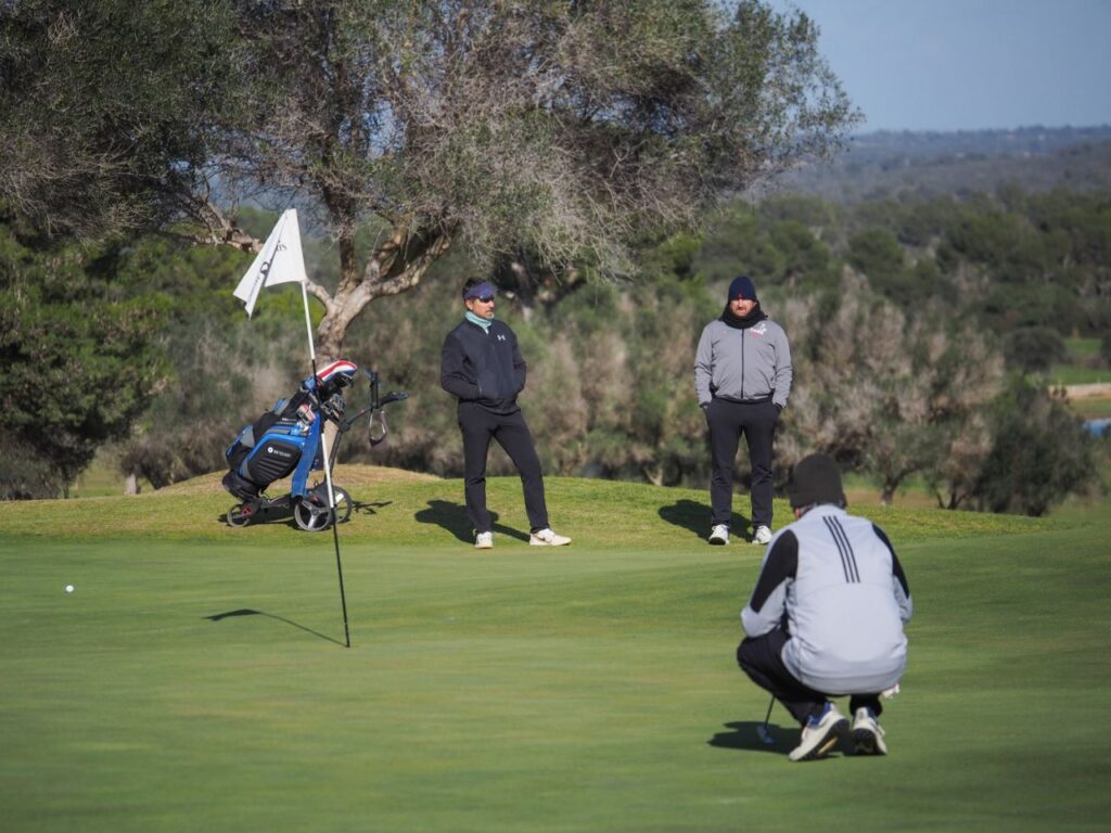 Imagen de galería 1263