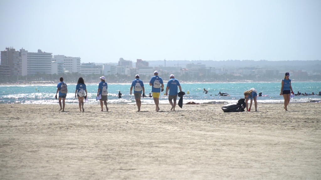 Imagen de galer&iacute;a 553