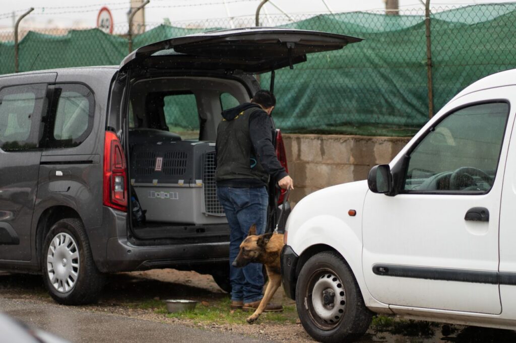 Imagen de galería 991
