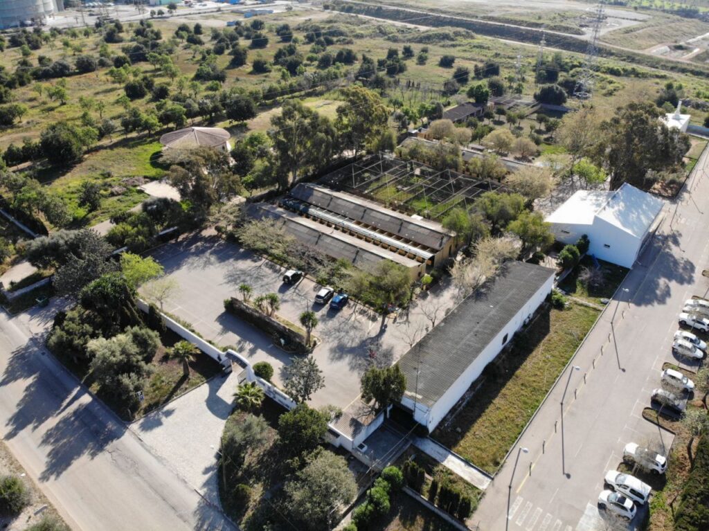 Imagen de galer&iacute;a 533