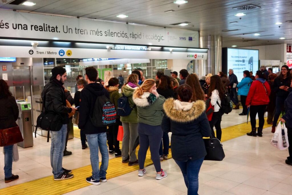 Imagen de galería 447