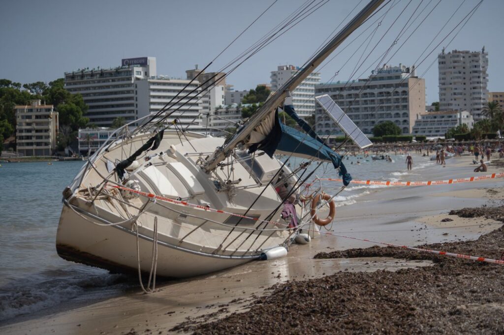 Imagen de galería 1492