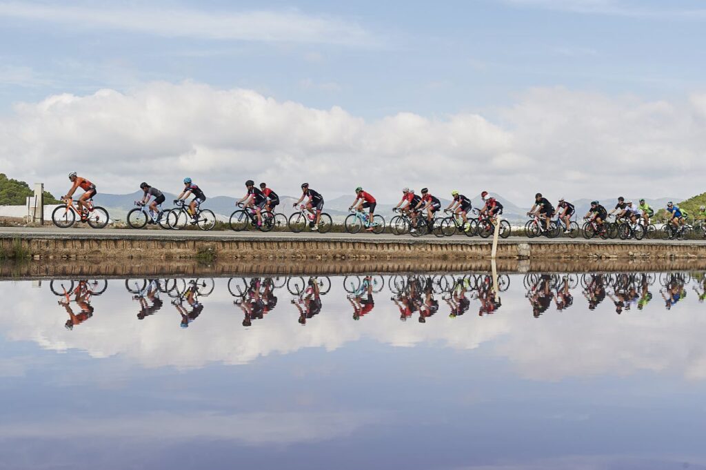 Imagen de galer&iacute;a 1251